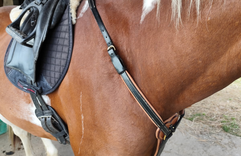 Collier de chasse ergonomique en cuir mise en place sur la monture