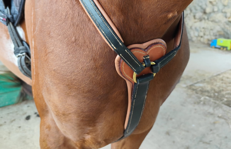Collier de chasse ergonomique en cuir mise en place sur la monture