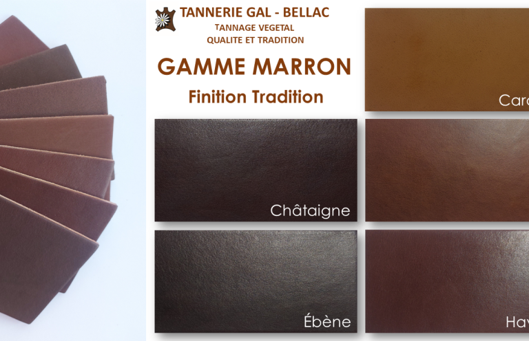 Palette de teintes marron de cuir avec échantillons et leurs noms.